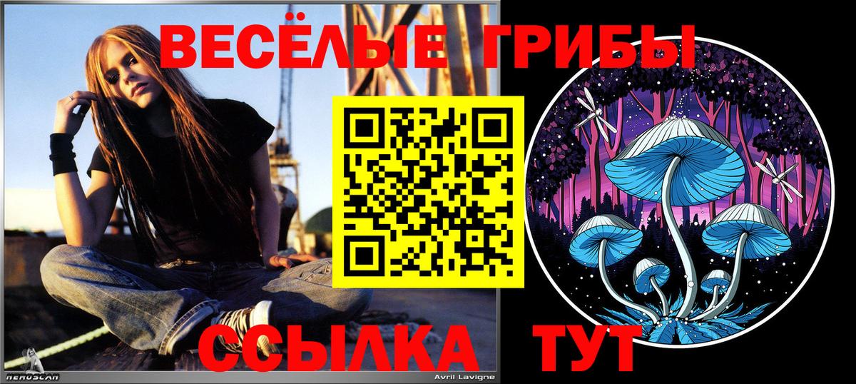 Галлюциногенные грибы MAGIC MUSHROOMS Учалы