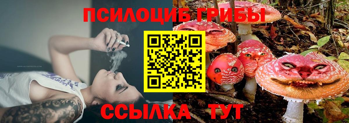 Галлюциногенные грибы мухоморы  Вход с VPN  Учалы 